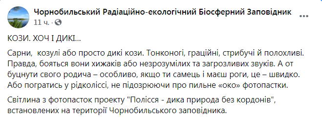 Скриншот из Фейсбука Чернобыльского заповедника 